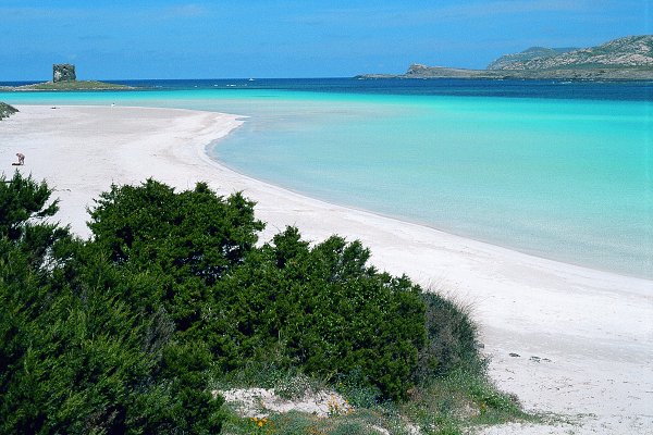Villa Le Palme Stintino Alghero Sardinia La Pelosa Beach
